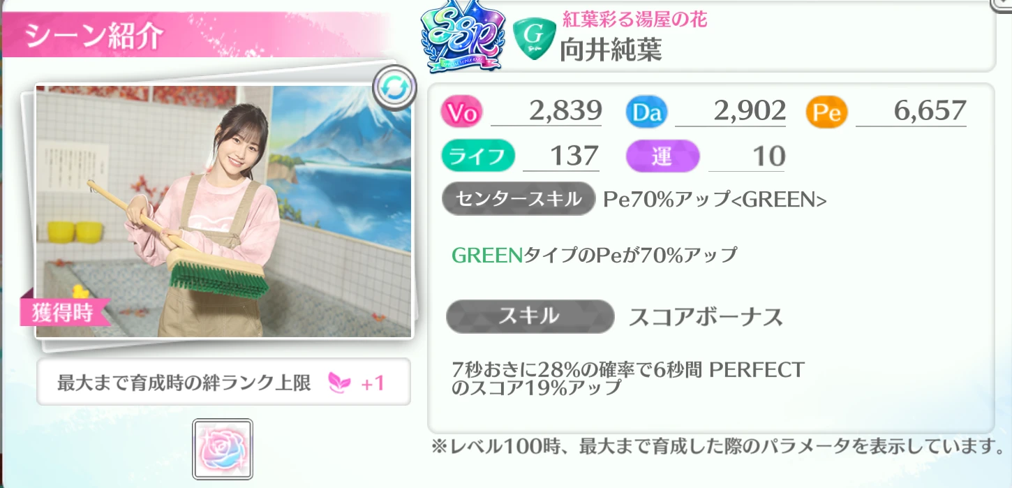 向井純葉 / 紅葉彩る湯屋の花